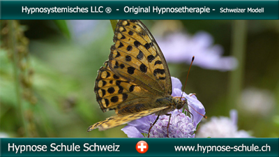 Hypnosetherapie Schule Schweiz